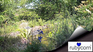 Am Gartenteich - Ruhe & Entspannung - Video rubycorn ArtGallery